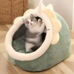 fb img 1759837631842