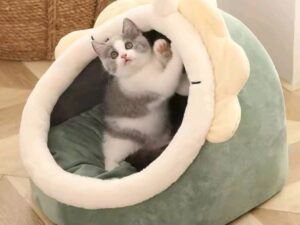 fb img 1759837631842